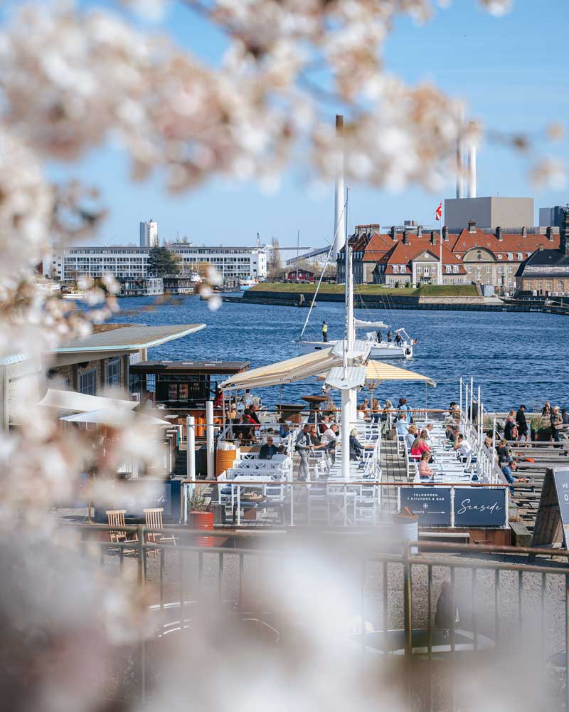 Seaside udsigt til Københavns havn