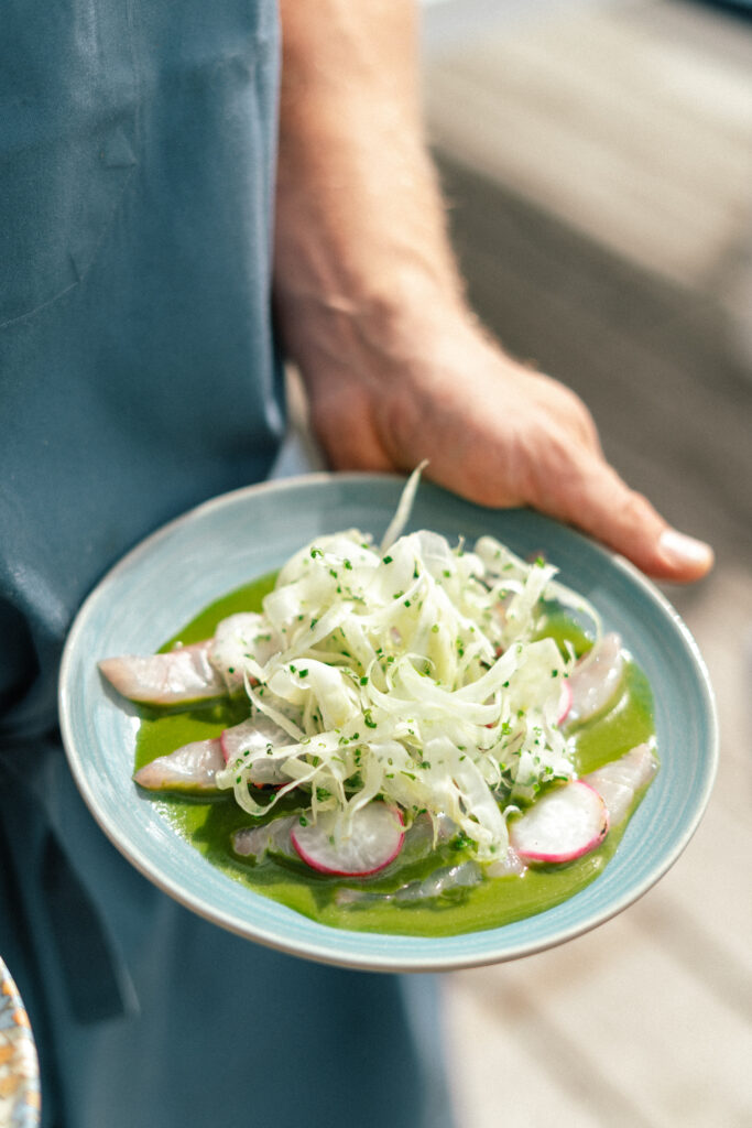 250414_Sommermenu_TG-15 250414_Sommermenu_TG-15