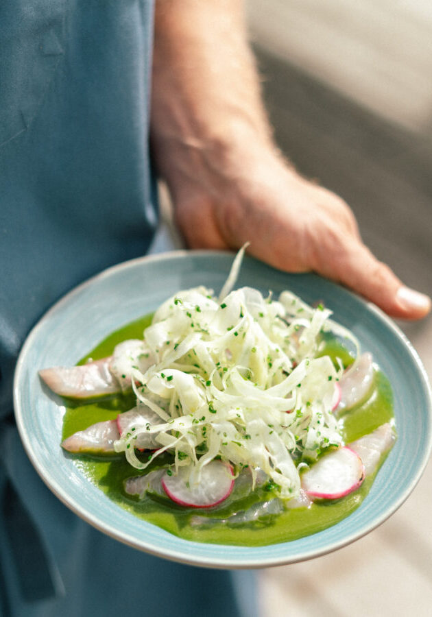 250414_Sommermenu_TG-15 250414_Sommermenu_TG-15